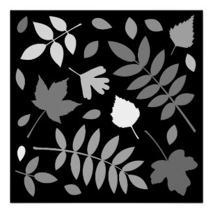 Fallen Leaves Design Greys White Black Poster