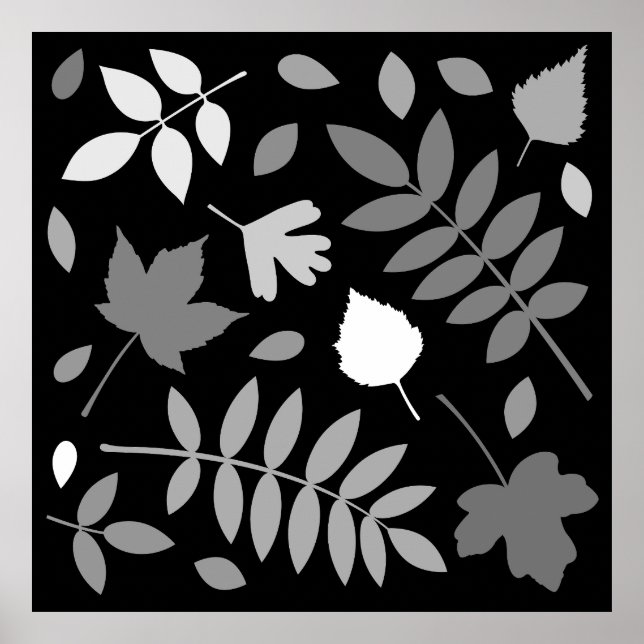 Fallen Leaves Design Greys White Black Poster (Front)