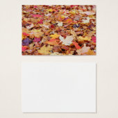 Fallen Leaves in Autumn (Front & Back)