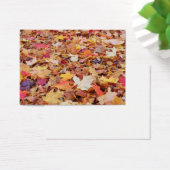 Fallen Leaves in Autumn (Desk)
