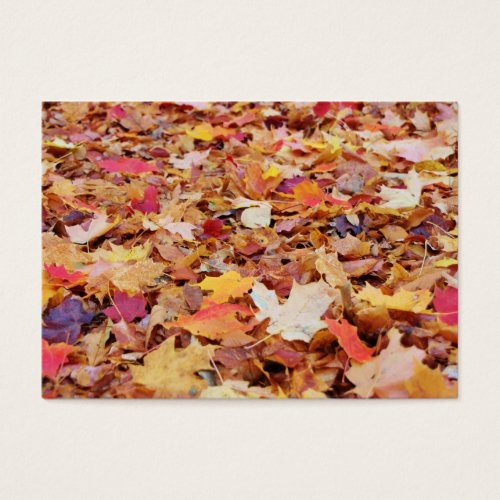 Fallen Leaves in Autumn Business Card