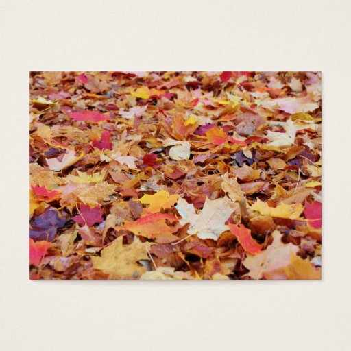 Customizable Fallen Leaves in Autumn Business Card
