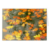 fallen leaves in rain (Front Horizontal)