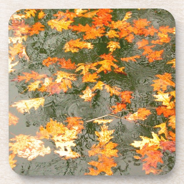 fallen leaves in rain beverage coaster (Front)