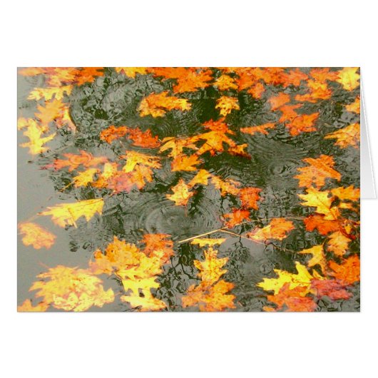 fallen leaves in rain cards (Front Horizontal)