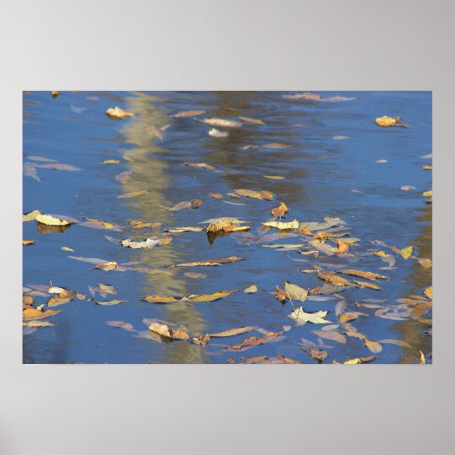 Fallen Leaves in Water Poster (Front)