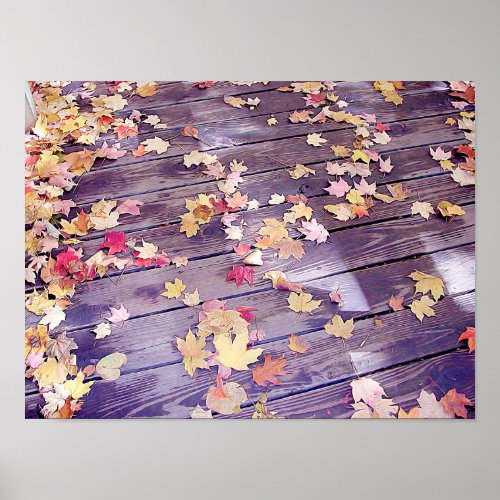 Fallen Leaves on Deck Poster