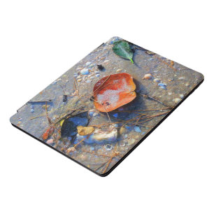 Fallen Leaves on Sand iPad Pro Cover