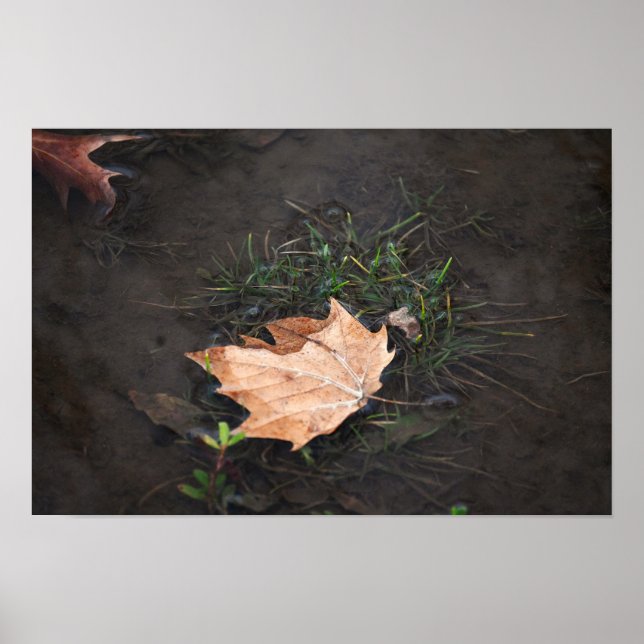 Fallen Leaves Poster (Front)