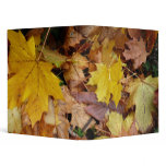 Fallen Maple Leaves 3 Ring Binder
