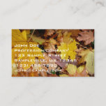 Fallen Maple Leaves Yellow Autumn Nature Business Card