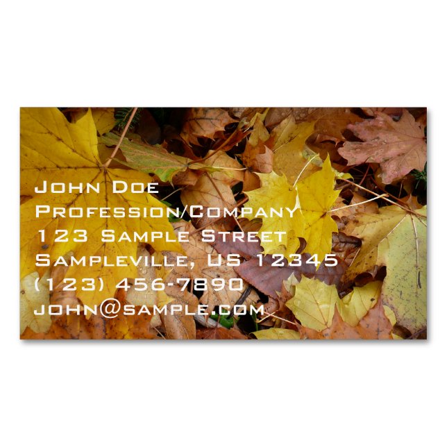 Fallen Maple Leaves Yellow Autumn Nature Business Card Magnet (Front)