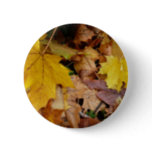 Fallen Maple Leaves Yellow Autumn Nature Button