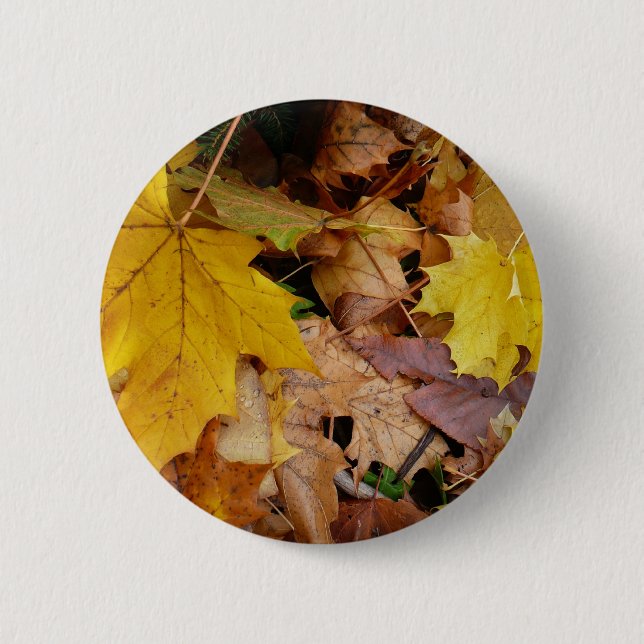 Fallen Maple Leaves Yellow Autumn Nature Button (Front)