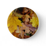 Fallen Maple Leaves Yellow Autumn Nature Button