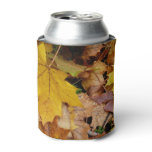 Fallen Maple Leaves Yellow Autumn Nature Can Cooler
