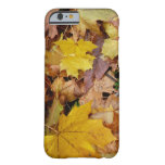 Fallen Maple Leaves Yellow Autumn Nature Barely There iPhone 6 Case