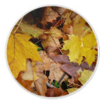 Fallen Maple Leaves Yellow Autumn Nature Ceramic Knob