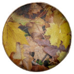 Fallen Maple Leaves Yellow Autumn Nature Chocolate Covered Oreo
