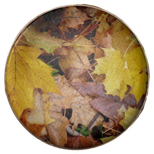 Fallen Maple Leaves Yellow Autumn Nature Chocolate Covered Oreo (Front)