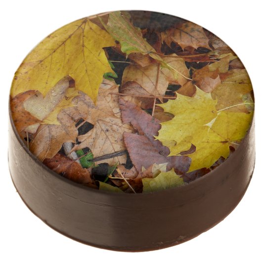 Fallen Maple Leaves Yellow Autumn Nature Chocolate Covered Oreo (Angled)