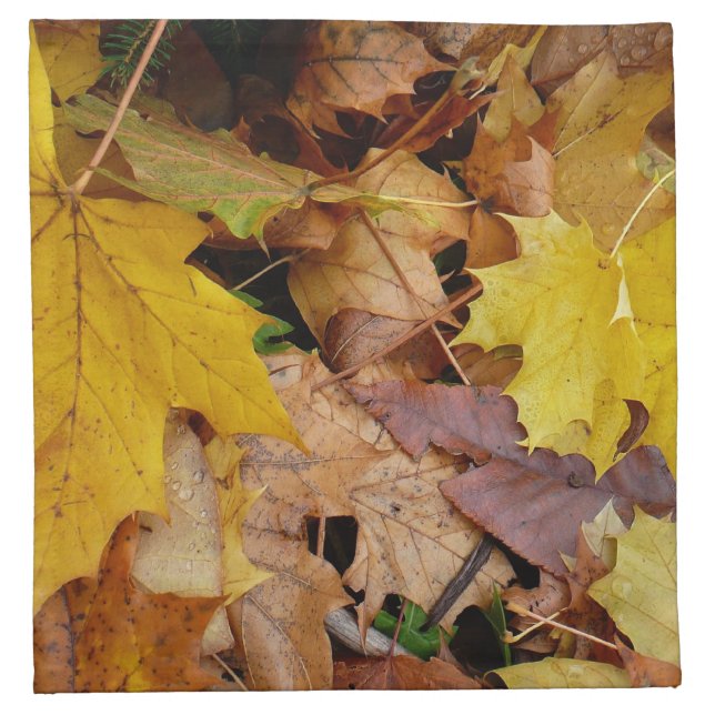 Fallen Maple Leaves Yellow Autumn Nature Cloth Napkin (Front)