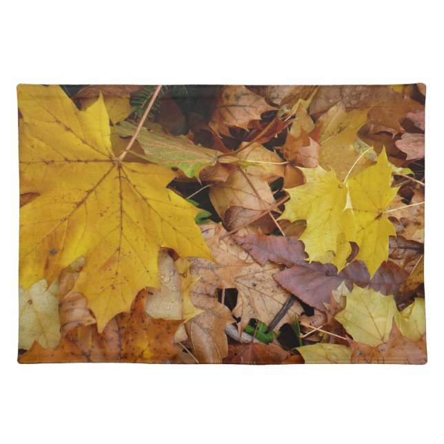 Fallen Maple Leaves Yellow Autumn Nature Cloth Placemat (Front)