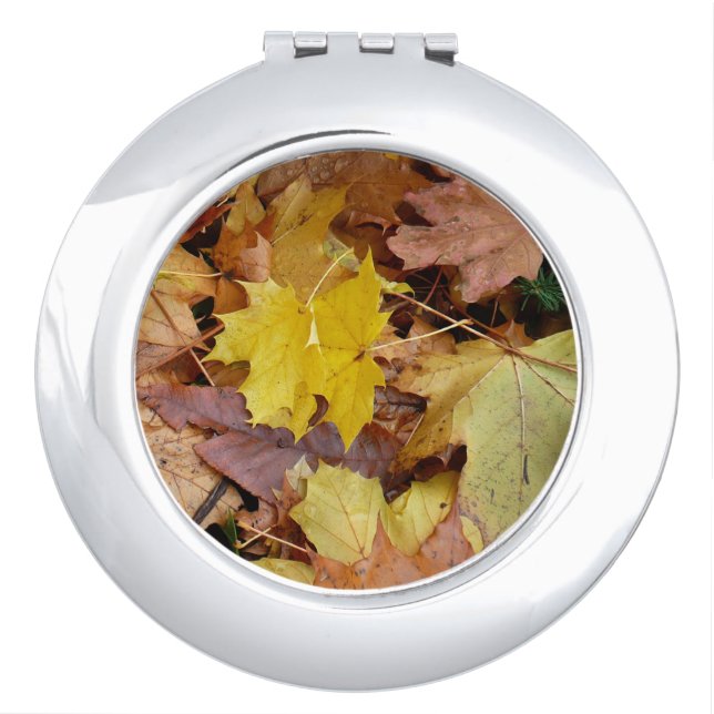Fallen Maple Leaves Yellow Autumn Nature Compact Mirror (Front)
