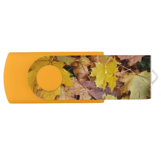 Fallen Maple Leaves Yellow Autumn Nature Flash Drive (Front)