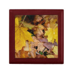 Fallen Maple Leaves Yellow Autumn Nature Gift Box