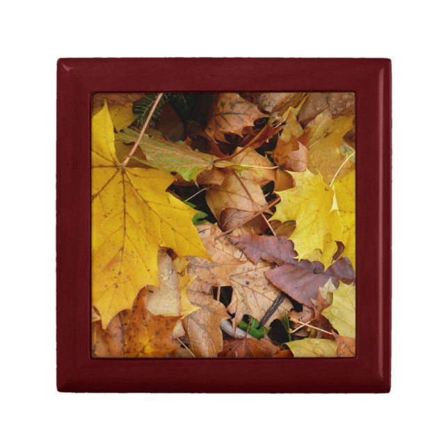 Fallen Maple Leaves Yellow Autumn Nature Gift Box (Front)