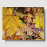 Fallen Maple Leaves Yellow Autumn Nature Guest Book