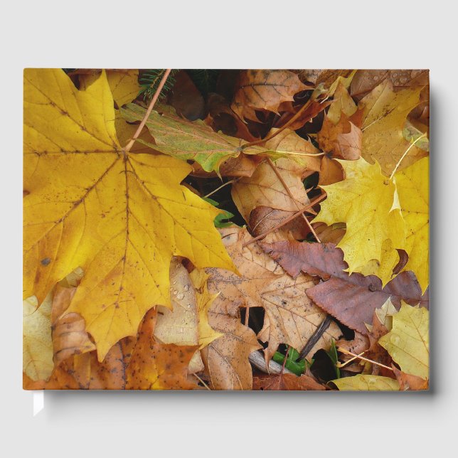 Fallen Maple Leaves Yellow Autumn Nature Guest Book (Front)