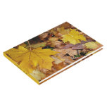 Fallen Maple Leaves Yellow Autumn Nature Guest Book