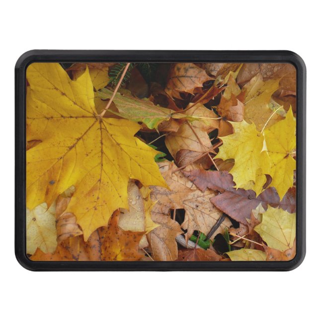 Fallen Maple Leaves Yellow Autumn Nature Hitch Cover (Front)