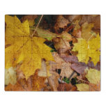 Fallen Maple Leaves Yellow Autumn Nature Jigsaw Puzzle
