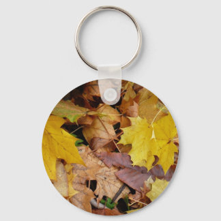 Fallen Maple Leaves Yellow Autumn Nature Keychain