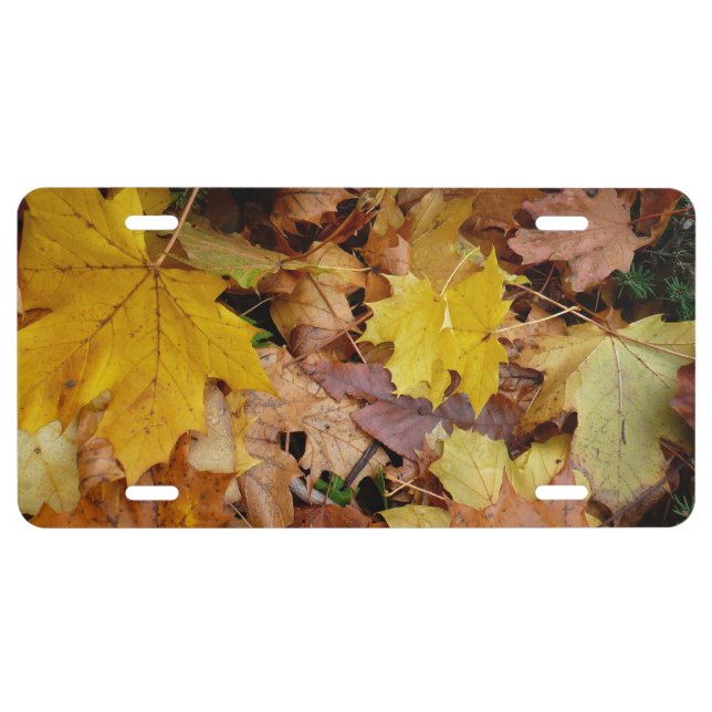 Fallen Maple Leaves Yellow Autumn Nature License Plate (Front)