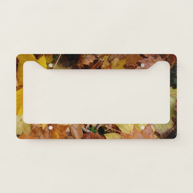 Fallen Maple Leaves Yellow Autumn Nature License Plate Frame (Front)