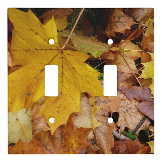 Fallen Maple Leaves Yellow Autumn Nature Light Switch Cover (Front)