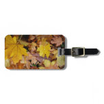 Fallen Maple Leaves Yellow Autumn Nature Luggage Tag
