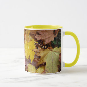 Fallen Maple Leaves Yellow Autumn Nature Mug