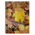 Fallen Maple Leaves Yellow Autumn Nature Notebook