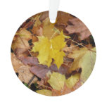 Fallen Maple Leaves Yellow Autumn Nature Ornament