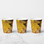 Fallen Maple Leaves Yellow Autumn Nature Paper Cups