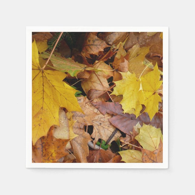 Fallen Maple Leaves Yellow Autumn Nature Paper Napkins (Front)