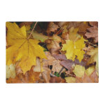 Fallen Maple Leaves Yellow Autumn Nature Placemat