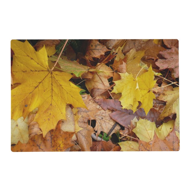 Fallen Maple Leaves Yellow Autumn Nature Placemat (Front)