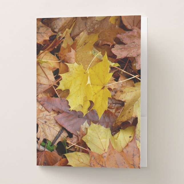 Fallen Maple Leaves Yellow Autumn Nature Pocket Folder (Front)