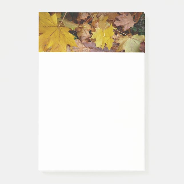 Fallen Maple Leaves Yellow Autumn Nature Post-it Notes (Front)
